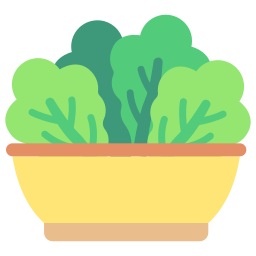 Salad bowl icon