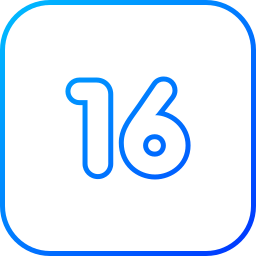 número 16 Ícone