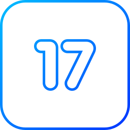 Number 17 icon