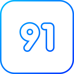 91 icon