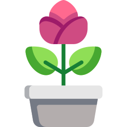 tulpe icon