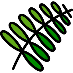 Fern icon