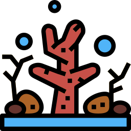 Coral icon