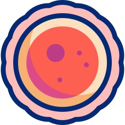 Ovum icon