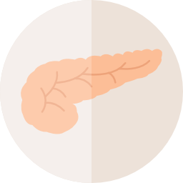 pancreas icona