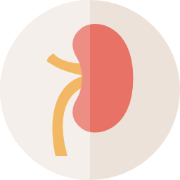 Spleen icon