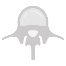 Vertebra icon