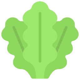 Lettuce icon