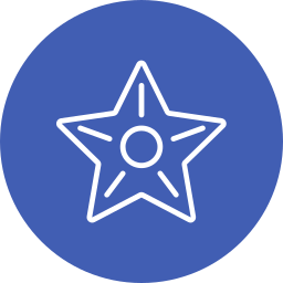 Star fish icon