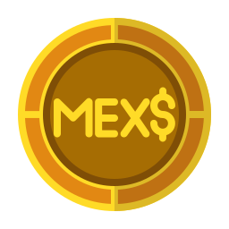 Peso icon