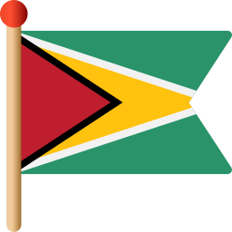 guyana icon