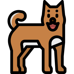 Shiba icon