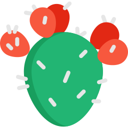 Prickly pear icon