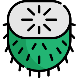 Guanabana icon