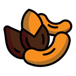 Nuts icon