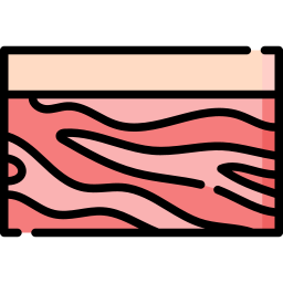 schweinefleisch icon