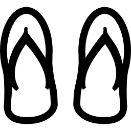 Flip flops icon