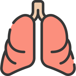 Anatomy icon