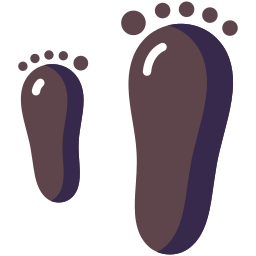 Footprint icon