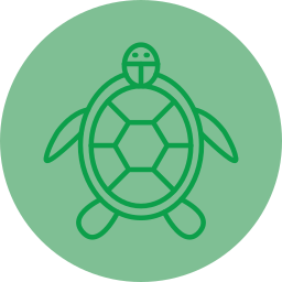 Turtle icon