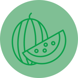 Watermelon icon