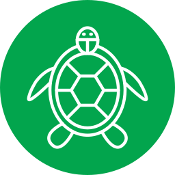 Turtle icon