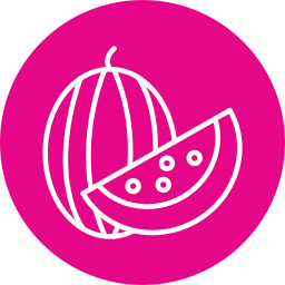 Watermelon icon