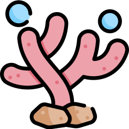 Coral icon