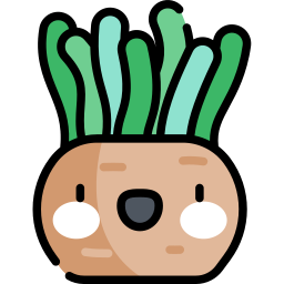 Sea anemone icon