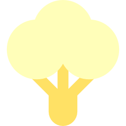 Cauliflower icon