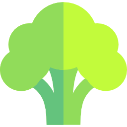 Broccoli icon