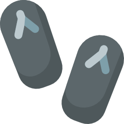 Flip flops icon