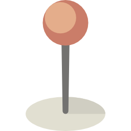 Pin icon