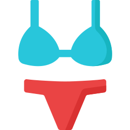 Bra icon