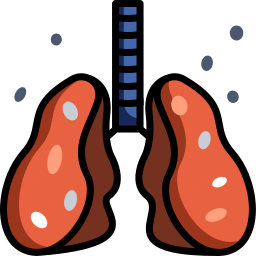 Pulmão Ícone