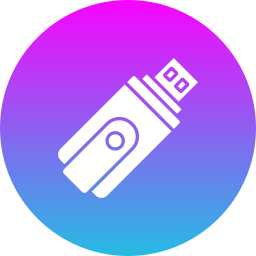 Flash disk icon