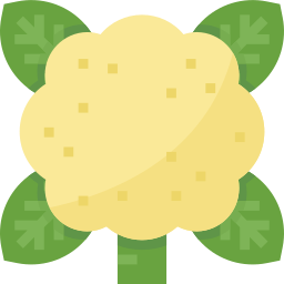 blumenkohl icon