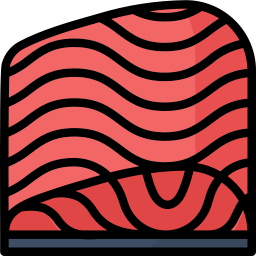 Salmon icon