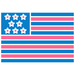 amerika vlag icoon