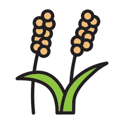 Millet icon