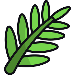 Palm leaf icon