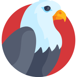 Eagle icon