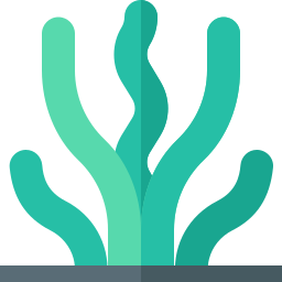 Seaweed icon