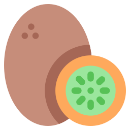 kiwi icon