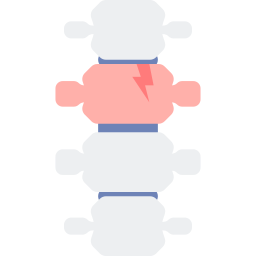 Anatomy icon