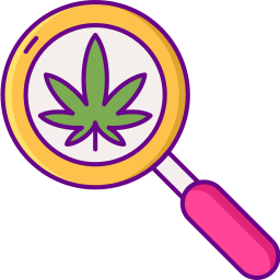 Research icon