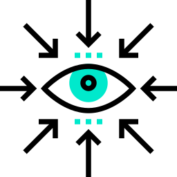 vision icon