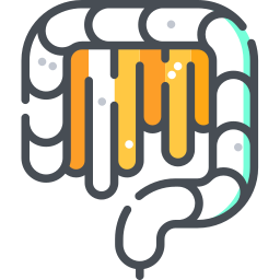 Intestine icon