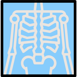 X ray icon