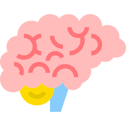 Brain icon